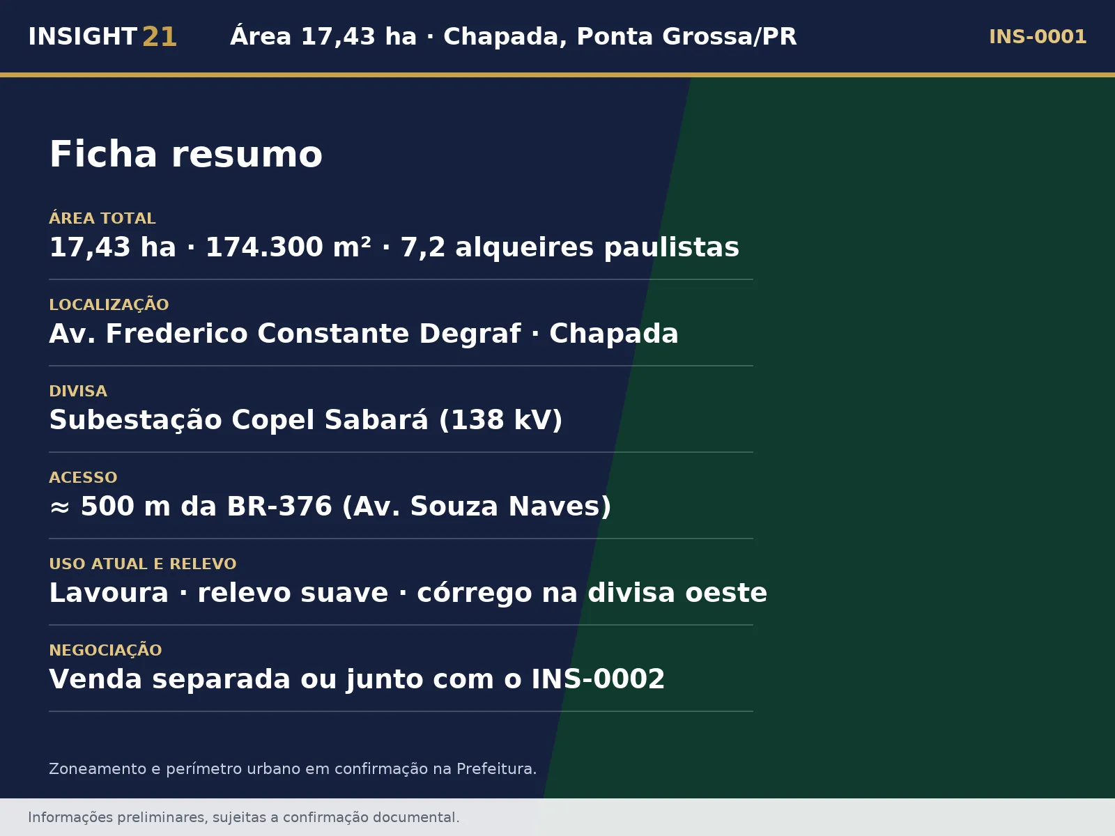 Ficha resumo