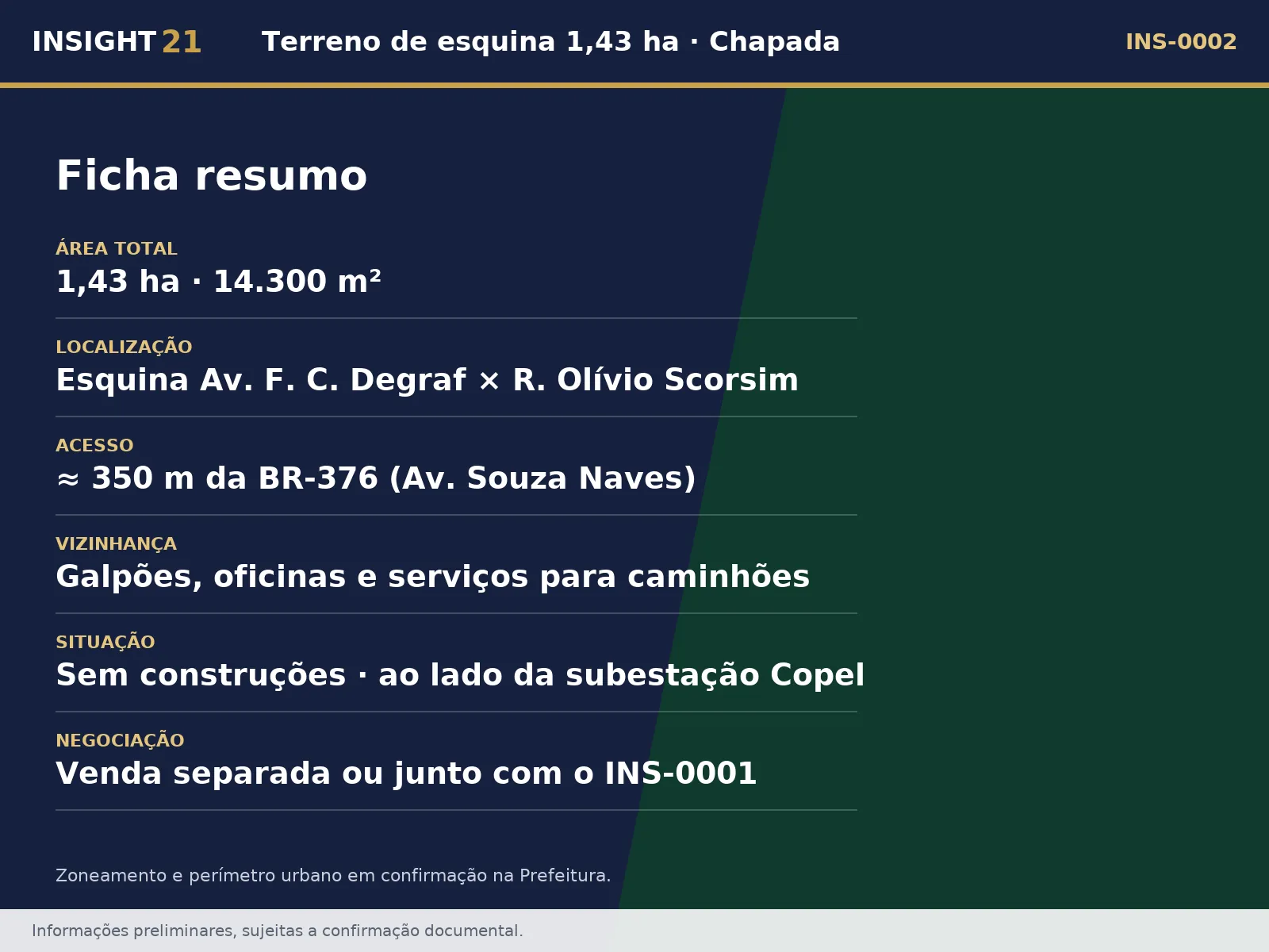 Ficha resumo